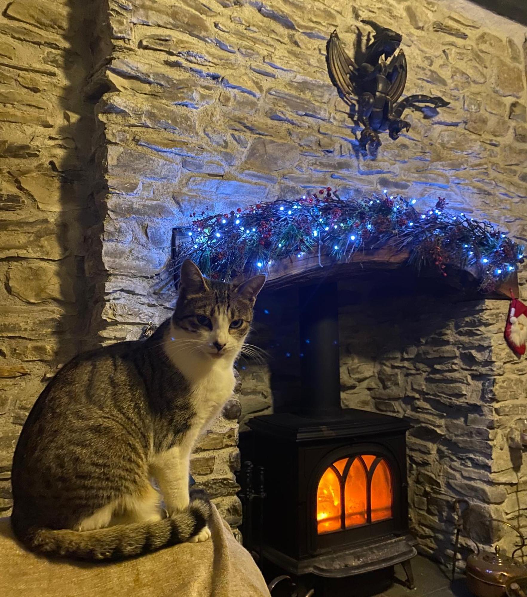 Five Saints Farmhouse B&B Pumpsaint Buitenkant foto