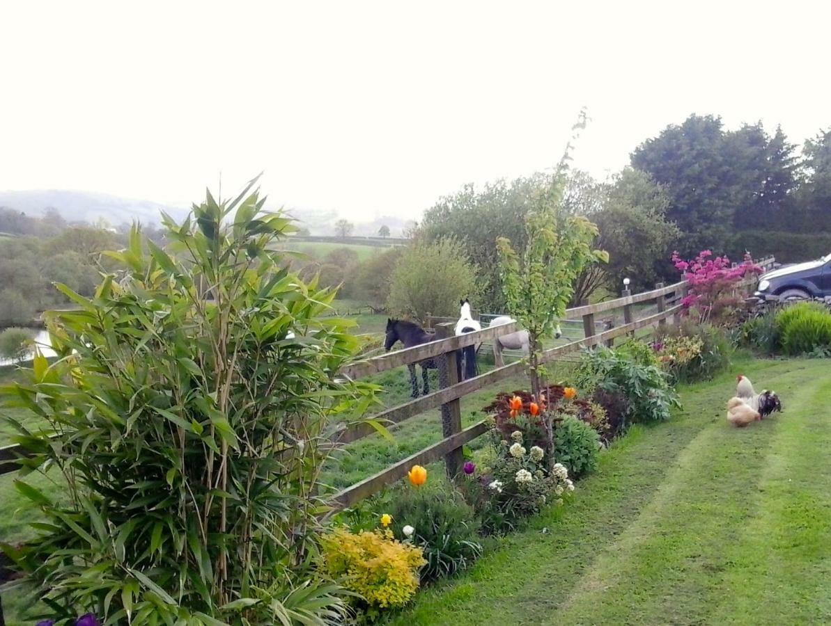 Five Saints Farmhouse B&B Pumpsaint Buitenkant foto