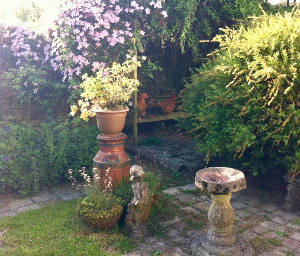 Five Saints Farmhouse B&B Pumpsaint Buitenkant foto